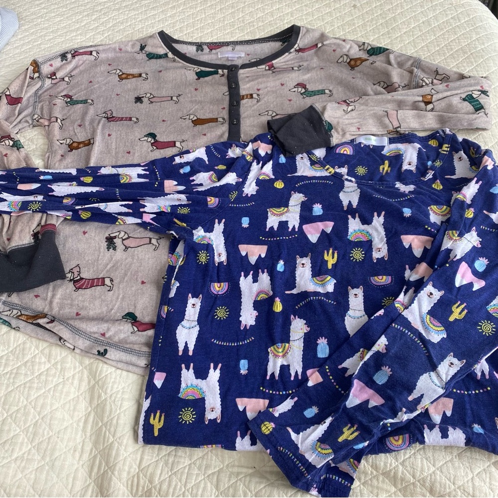 Bundle of 2 sleep shirts/ PJ tops with Fun Animal dog llama print - Women’s M